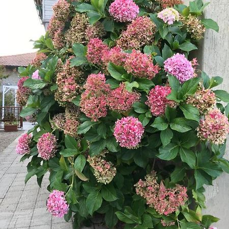 Casa Ortensia Chiusi della Verna Buitenkant foto